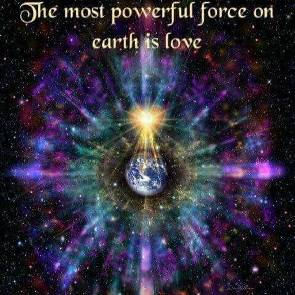 Meet your Posher, Mack - Picture 1 of 1